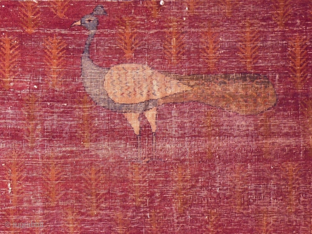 Fragment of an Indian (Mogul) rug                           