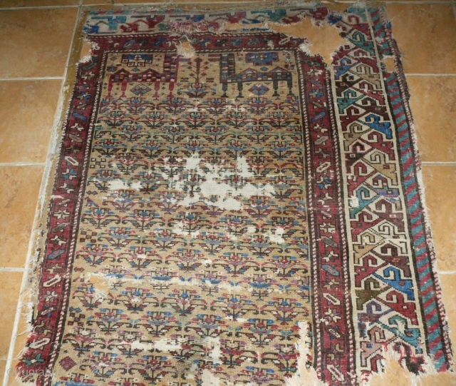 Shahsavan prayer rug fragment, early 19thc or earlier                         