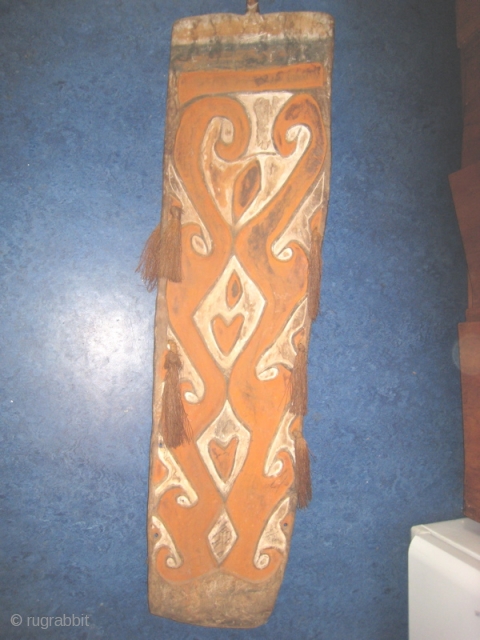 Wooden shield from Irian Jaya, West Papua.  16 inches wide by 61 inches tall.  Relief design highlighted with white and dark brown.  Tassles on side.     