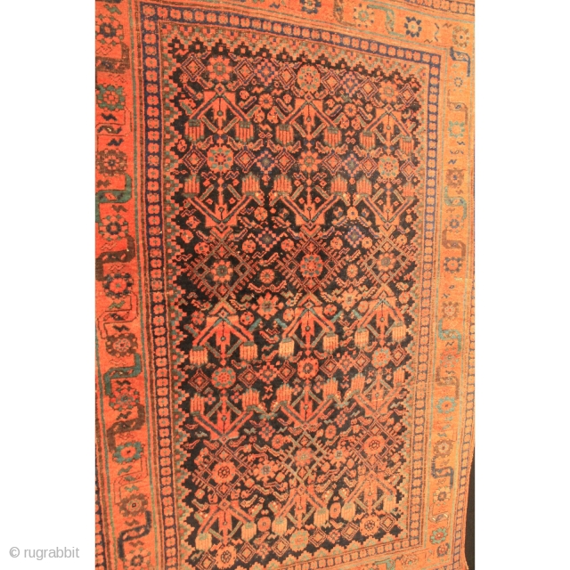 Old Bidjar Kurd Iran Persia

100 Years around 1900-1910

Wool on Wool 100% Naturel Colors

130 cm X 200 cm 

               