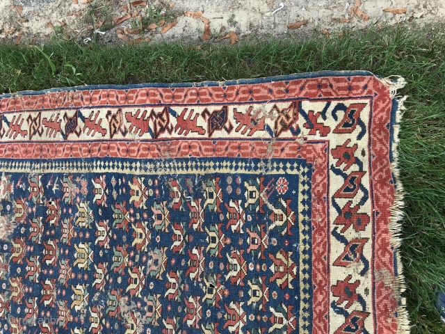 Antique Caucasian rug (Dhagestan)Ca 1900
Has some moth damage
Nice example :SOLD
                       