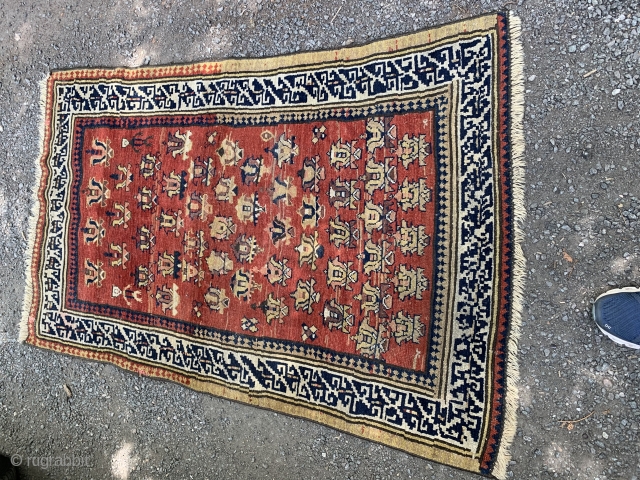 Antique Khotan rug
Good overall condition
$650. SOLD.                           