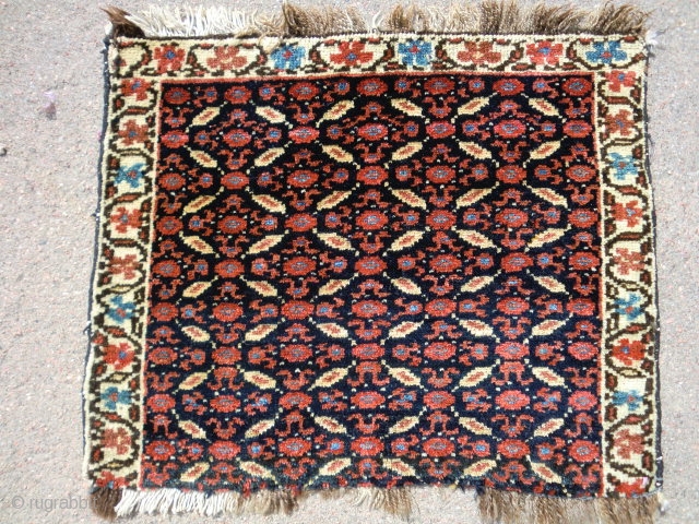 Kurdish fragment 1'-6"x 1'-9" Losses on all sides, stabilized. Full pile, great wool and color.                  