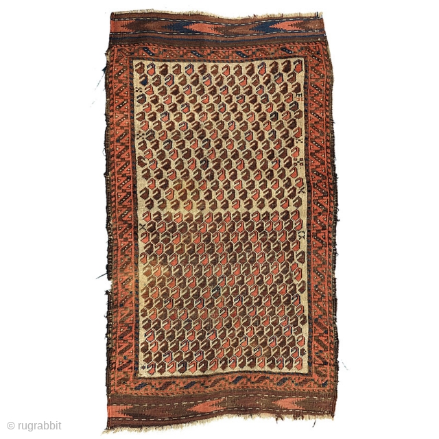 Baluch rug.  28” x 45”.  Nice design, good wool and color. Even wear, with corrosion to  the browns.  The ends are good, the selveges are rough.   