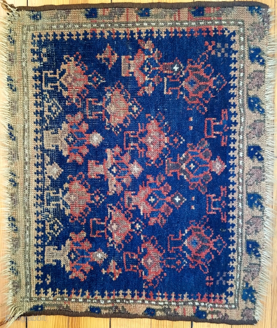 Baluch about 22" x 25"fragment  with nice shrub design. As found.  $105 usd + ship                