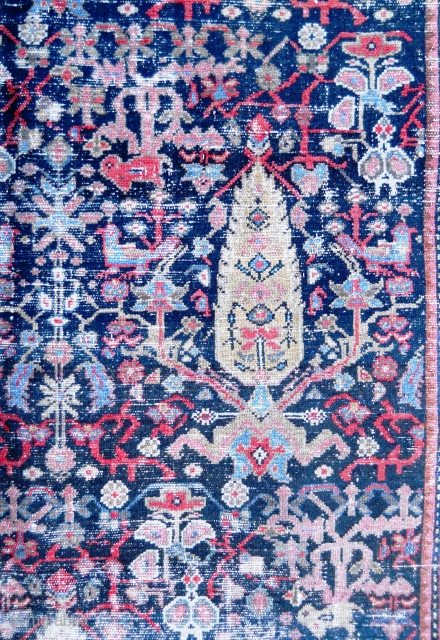 12 x 19.4 - reduced in length.  Loaded with Birds, Animals, Cypress Trees and wear.  9" camel band all around carpet.  Sides reovercast, 1" x 4" patch in field,  ...