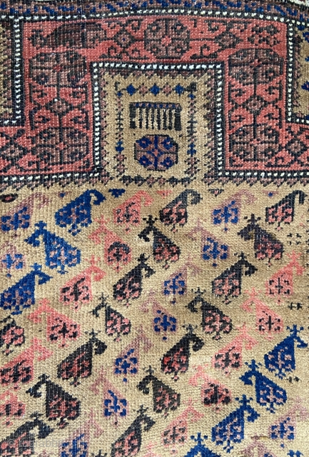 Camel ground Baluch prayer rug - well cared for with evenly low pile and scattered old reweaves.                