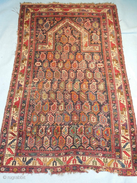 MARASALI SHIRVAN PRAYER RUG 

GOOD QUALITY AND AGE - AS FOUND ,WITH NO REPILING OR REPAIRS

REASONABLY PRICED  FOR AN OLD MARASALI IN DECENT  CONDITION
 
WITH  ALL GOOD DYES
  