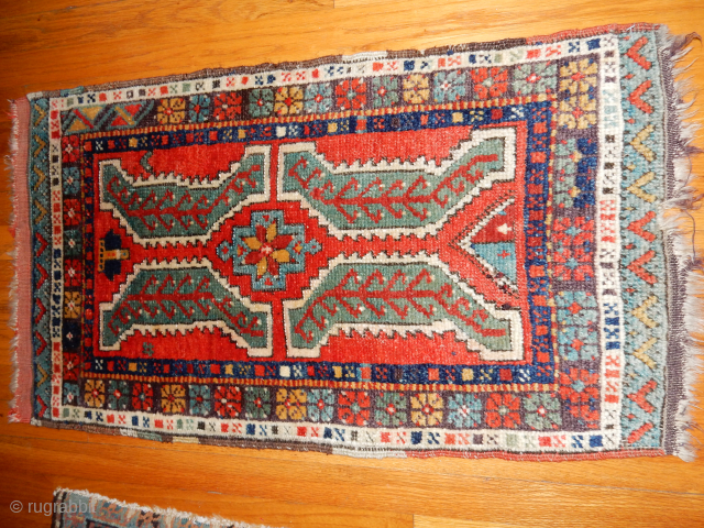 boylstonassociates.com full pile yastik yastic EBAY NOW                          