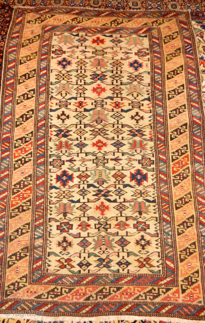 CHI CHI RUG SIZE OF 38 X 55 INCHES ALL GOOD DYES  - $1400 PLUS SHIPPING                