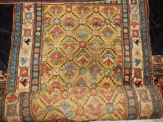 the sarouk and the kashan are priced at $500 and the other 2 are priced at a bit more .....
look at the last photo for a really distinctive colorful ...