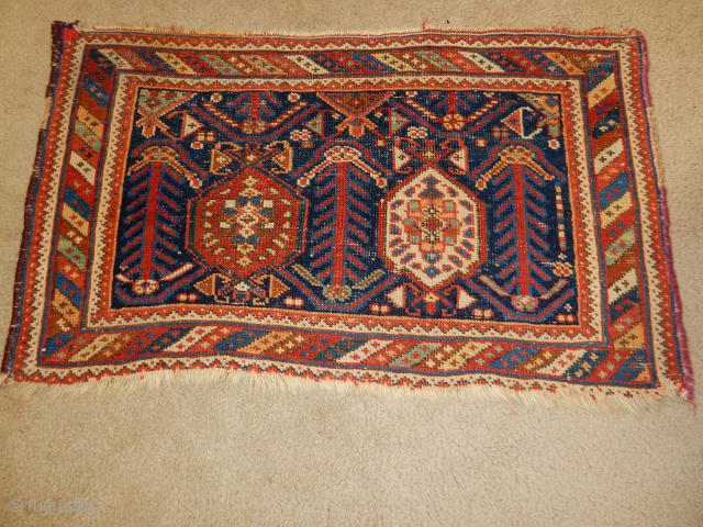 SOUTH PERSIAN BAGFACE IN GOOD CONDITION                           