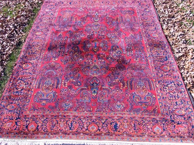 SAROUK    8 X 11   EXCELLENT                       