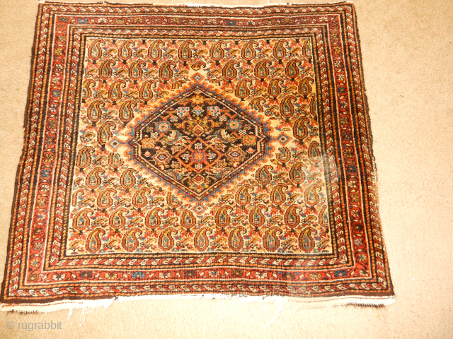 FEREGHAN RUG WITH SOMETHING ON THE BACK -$150 INCLUDING USA SHIPPING
EXCELLENT PILE ABOUT 28 X 28 INCHES