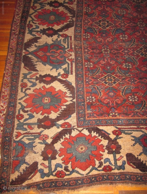 old bijar bidjar with size of 7 x 12 ft wool foundation
                     