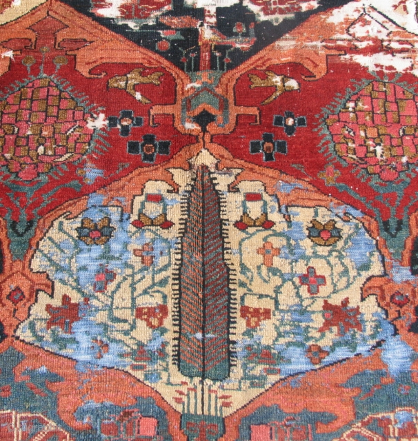 The second half of 19. century vegetable dyed Bakhtiar rug. 6'5" x 12" feet ( 198 cm x 367 cm )            