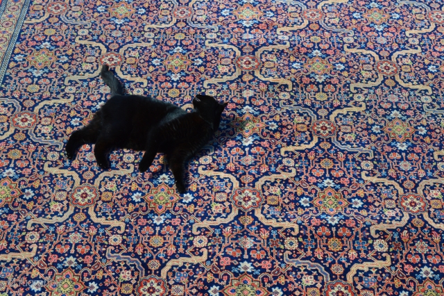 A good carpet is a sign of a cat loving it!
Tabriz - circa 1900 - 4m x 3m (13' 2" x 10' 0") and in very good overall condition with only very  ...