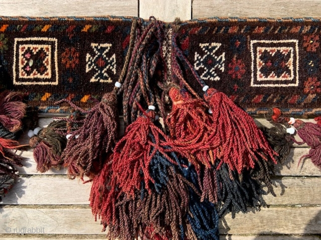 A complete Baluch camel neck-band in excellent full-pile condition and with highlights of silk throughout.                  