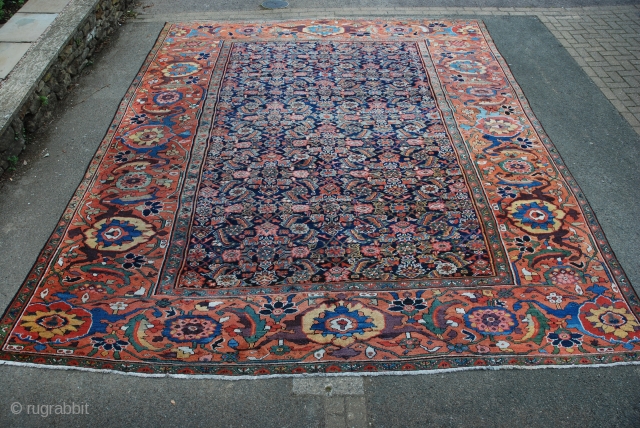 A great antique Feraghan carpet with magnificent main border just acquired from an old Scottish house. The carpet is in good condition overall with some small areas of wear but nothing serious!  ...