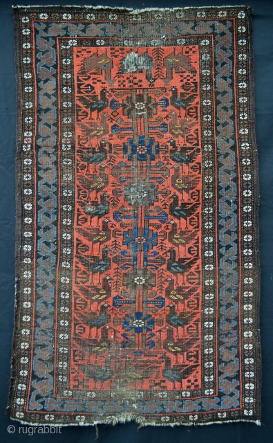 This rather battered but rare,interesting and very collectable Baluch 'cockerel' rug has knots which are symmetric indicating a possible 'Bahluli' attribution.
1.45m x 0.84m (4' 9" x 2' 9").     