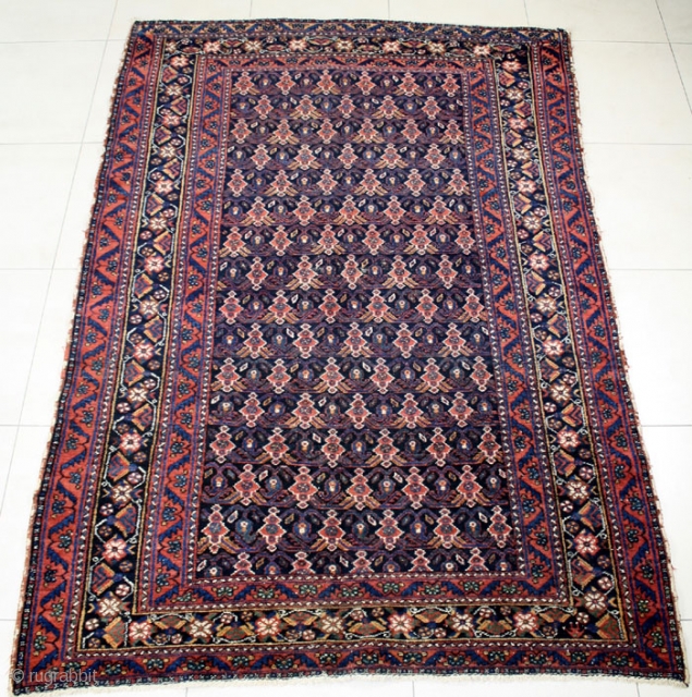 Afshar rug, 140 x 195 cm(4 ' 7 " x 6 ' 5 ")                   