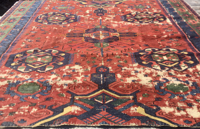 Shirwan Zeikhur/Seychour Sumakh fragment.
Cm 115x133.
Estimated age 1860/1870.
Great pattern,
great colors,
great weaving.
A special piece.
Please email carlokocman@gmail.com