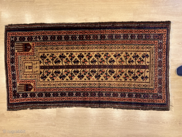 2'9'' x 5'1'' / 84cm x 157cm An antique prayer Baluch rug woven by the Baloch people living in eastern Iran. The Mihrab field is composed of a directional prayer niche with  ...