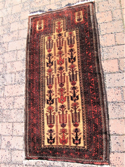 Baluch animaltree prayer rug, soft camel field  Early 20 th.c. Woll on cotton 
Sold thanks                 