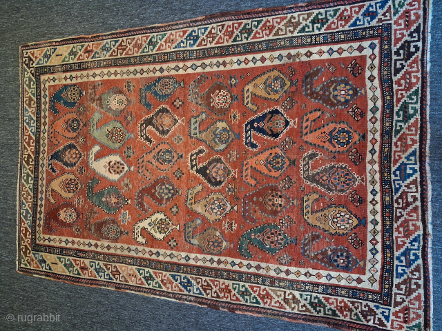 Caucasian , finely woven rare antique Shirvan ( ?) with Boteh.
 120x185 cm. Ask for more details. 
cetinakbas@hotmail.com 
              