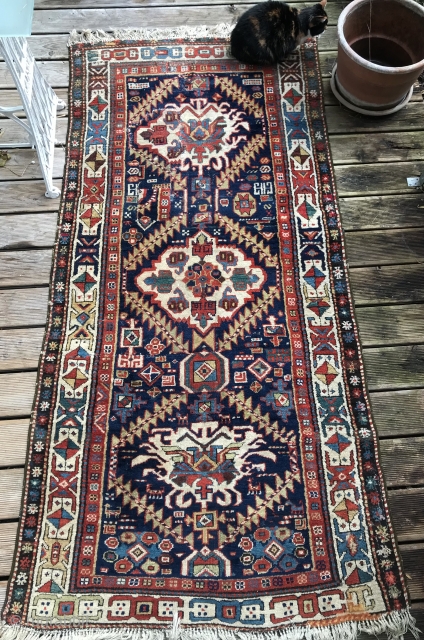 Antique Shasavan rug, 220x109cm, 1850 - 1870, glorious colours, glossy wool, exceptional border. Old repairs, cut and shut, fringes are not original, cotton warps, salmon red wefts.      