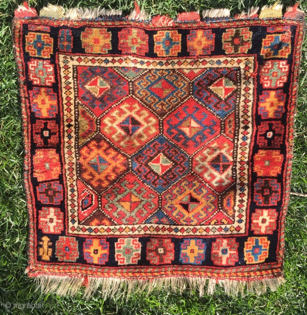 Luscious full pile Kurd bag face, 25" x 24". Glistening wool, all natural colors. No restoration.  Three tiny secured areas (visible in photo of back) that have no trace on front.  ...