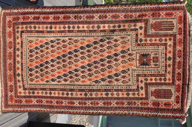 Camel-ground beluch from turn of last century (138x87 cm). Excellent colors with only some minor wear.                 