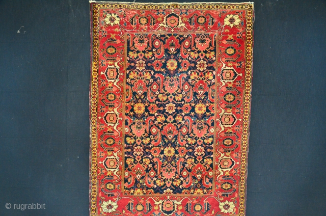 Shirvan Rug 19 th. Powerfull Colors
Size 166 x 120 cm, Herati Motiv                     