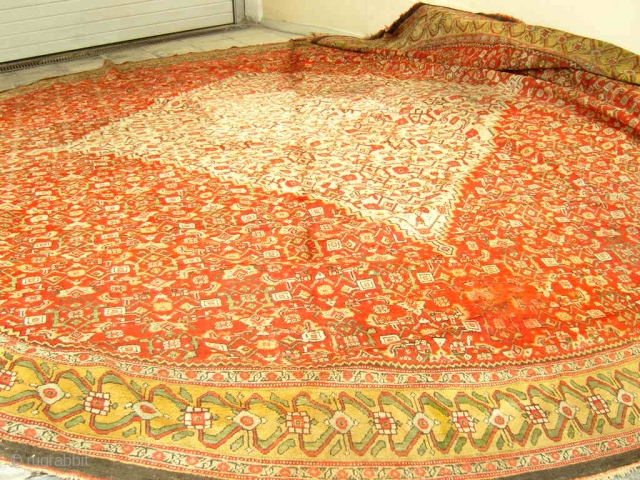 mahal  oval  rug   520 x 520   cm                    