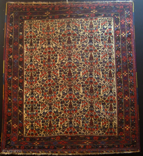 AFSHAR - 143 X 130 cm                           