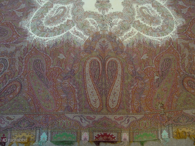 PERSIAN SHALL  FREGMANT  -  92 X 92  cm                     