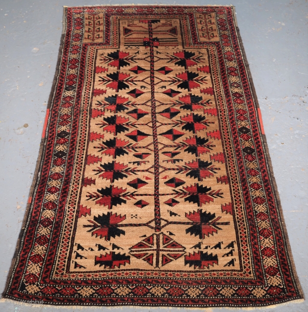 Antique Afghan Baluch camel ground prayer rug with tree of life, Circa 1900. Size: 4ft 11in x 2ft 9in (149x 84cm). www.knightsantiques.co.uk           