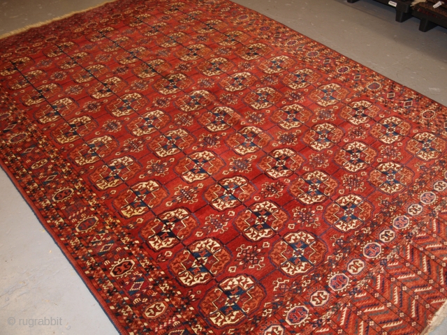 Antique Tekke Turkmen main carpet with 5 rows of 11 guls.
http://www.knightsantiques.co.uk/599136/antique-tekke-turkmen-main-carpet-excellent-long-elem-ends-circa-1880/
Size: 10ft 0in x 6ft 4in (304 x 193cm).
              