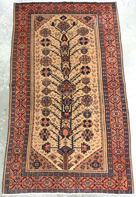 Antique Baluch rug, these Baluch rugs are known as Arab Baluch from the Ferdows region.
Size: 5ft 4in x 3ft 1in (163 x 95cm).
Late 19th century.
The rug has a traditional design unique to ...