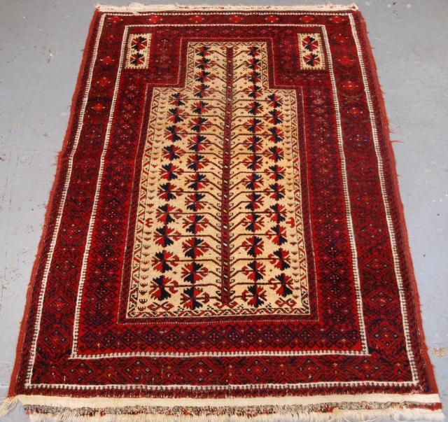 ***Spring sale*** £495.00 click the link www.knightsantiques.co.uk to view more items.

Size: 5ft 0in x 3ft 3in (152x 100cm).

Antique Baluch camel ground prayer rug with tree of life.

Circa 1900.

The rug is beautifully drawn  ...