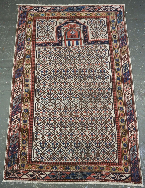 Antique Caucasian Shirvan prayer rug with floral lattice on an ivory ground.
www.knightsantiques.co.uk
Circa 1880
Size: 5ft 4in x 3ft 5in (162 x 103cm).
A good example of this well known group of prayer rugs with  ...