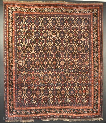 An antique Afshar rug. Good dyes, even low pile. Late 19th century.        205 x 172 cm Friendly price!        