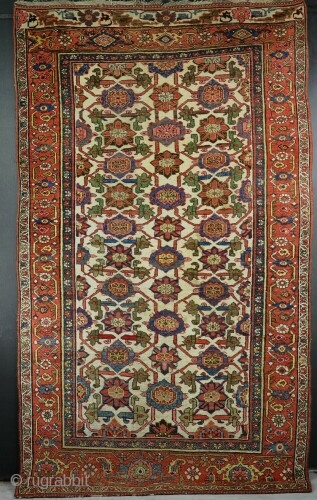 An antique all wool Bijar, good dyes and ivory ground. Evne low pile, just showing a few teeth here and there. Nice panel at the top. A heavy rug, clean and floor  ...