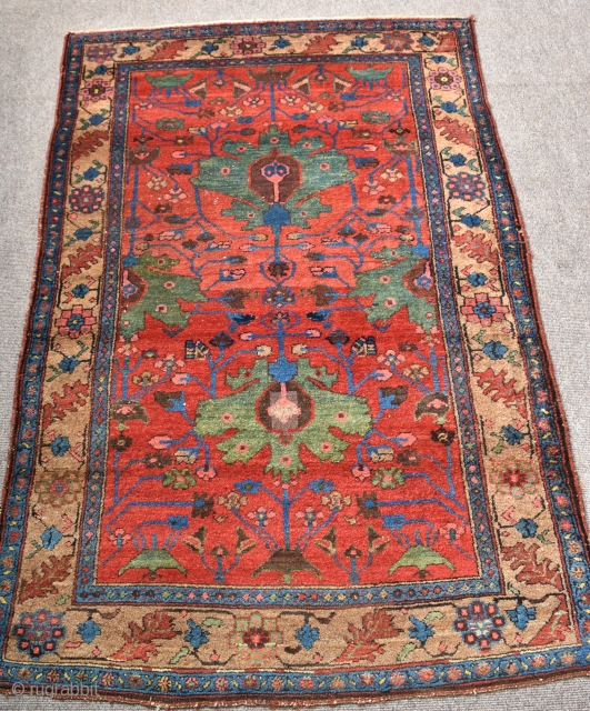 An antique Kolyai Kurd rug with exception dyes, beautiful green palmetes on a vivid red ground surrounded by rare yellow borders. A beautiful rug in very good shape just one small old  ...