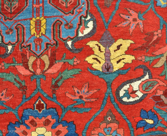 Antique all wool Bijar with glorious ground colour, circa 1900. 227x149cm                      
