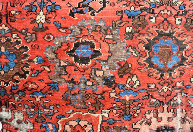 A very large antique Ferahan carpet, cut and worn but fixable and very pretty, circa 1870. 600x420cm                