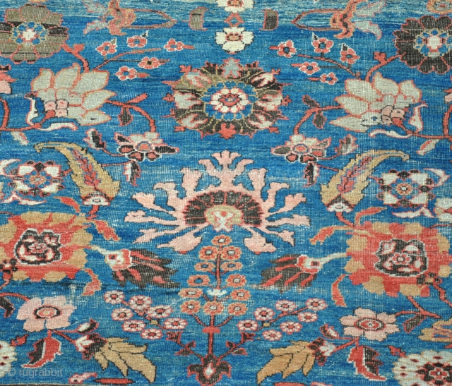 An antique Ziegler carpet with beautiful colours in untouched condition, no repairs, deep cleaned and floor ready. Late 19th century. Fresh find in extraordinary condition. One of the best I've ever had.  ...
