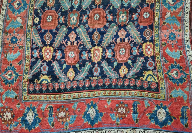 Unusual Kurdish carpet, 19th century, a little fushine, but mainly very good dyes in full pile. Some old,local but good quality repairs, mainly to one end, very slightly shaped, but funky and  ...