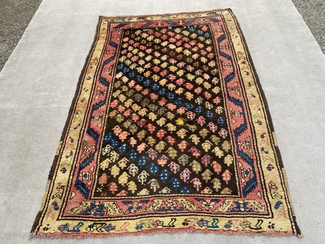 Kazak 190x128cm
Dated 1931
with a small, bad restored part (10x5cm)
Unusual, meaty, with 3D like boteh, crazy colors, crazy rug.               