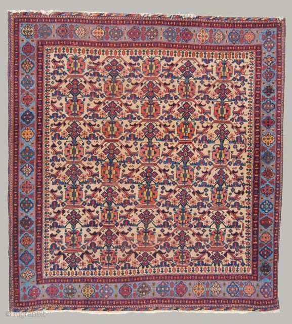Large Afshar rug with an ivory field and sky blue border.                      